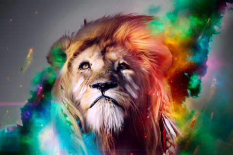 Обои Lion Art 480x320