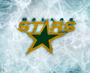 Dallas Stars wallpaper 176x144