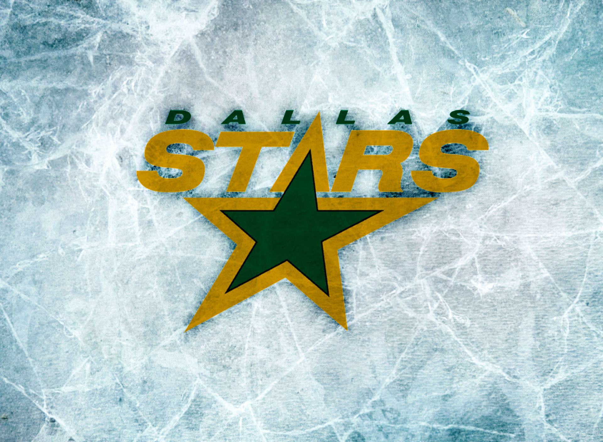 Sfondi Dallas Stars 1920x1408