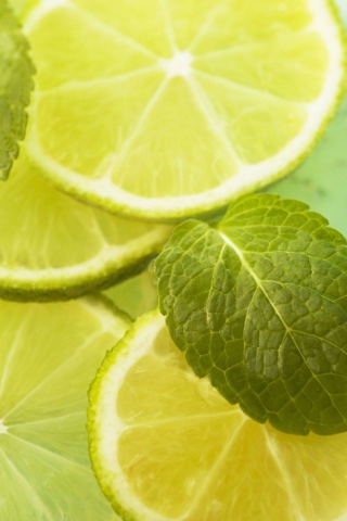 Mint And Lime wallpaper 320x480
