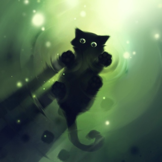 Kostenloses Cat Walking On Water Wallpaper für iPad mini