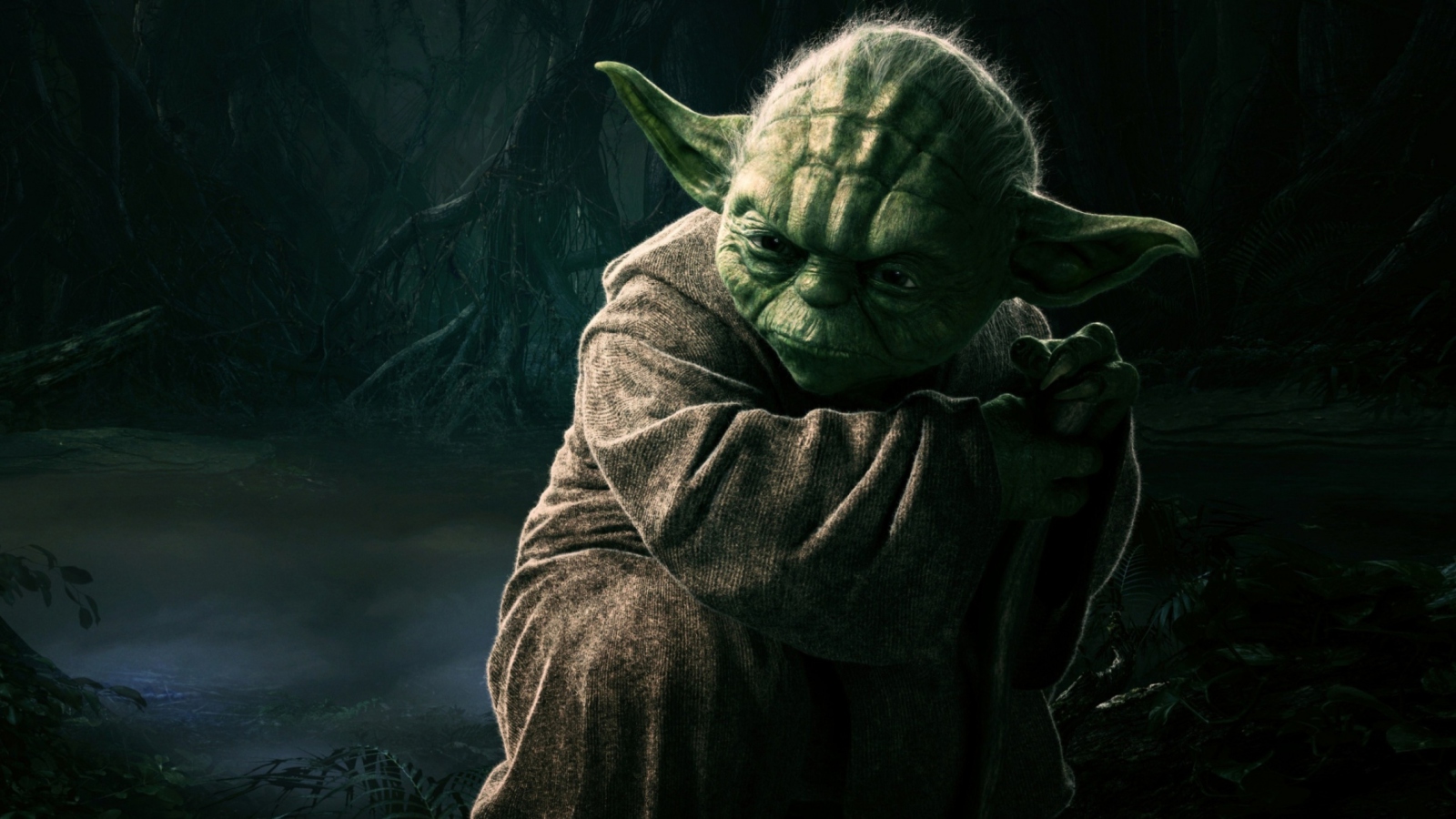 Обои Jedi Master Yoda 1600x900