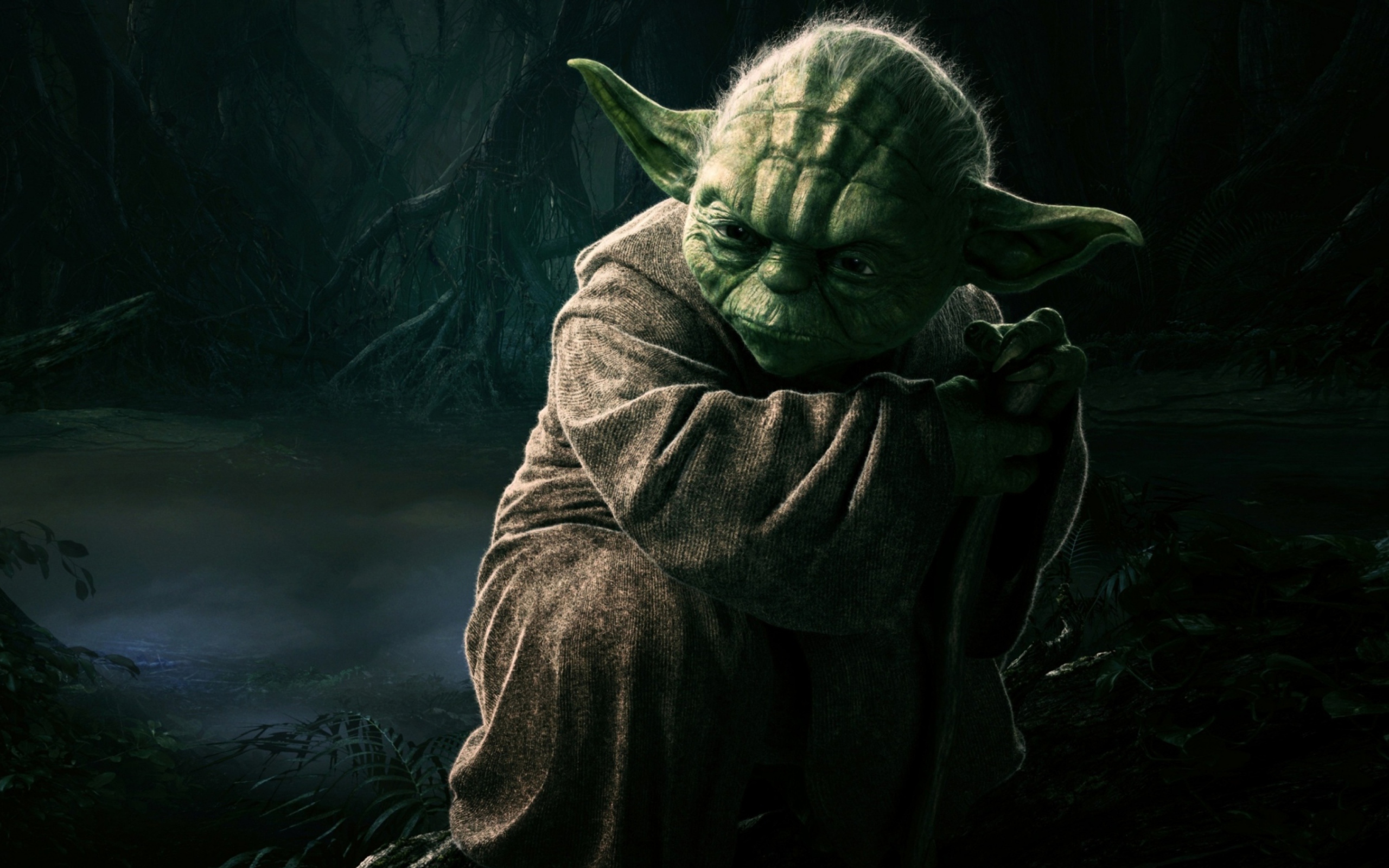 Screenshot №1 pro téma Jedi Master Yoda 2560x1600