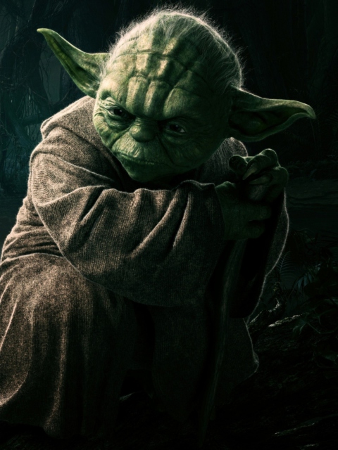 Jedi Master Yoda wallpaper 480x640