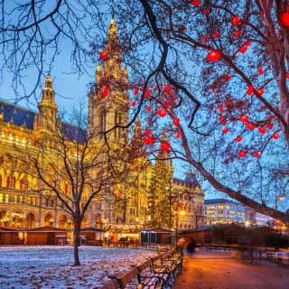 Vienna Town Hall Austria sfondi gratuiti per 1024x1024