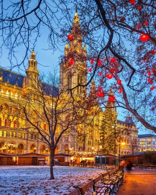 Vienna Town Hall Austria sfondi gratuiti per 768x1280