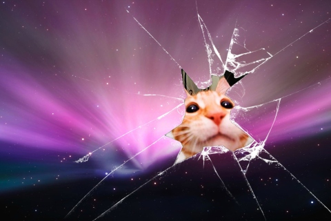 Screenshot №1 pro téma Cat And Broken Glass 480x320