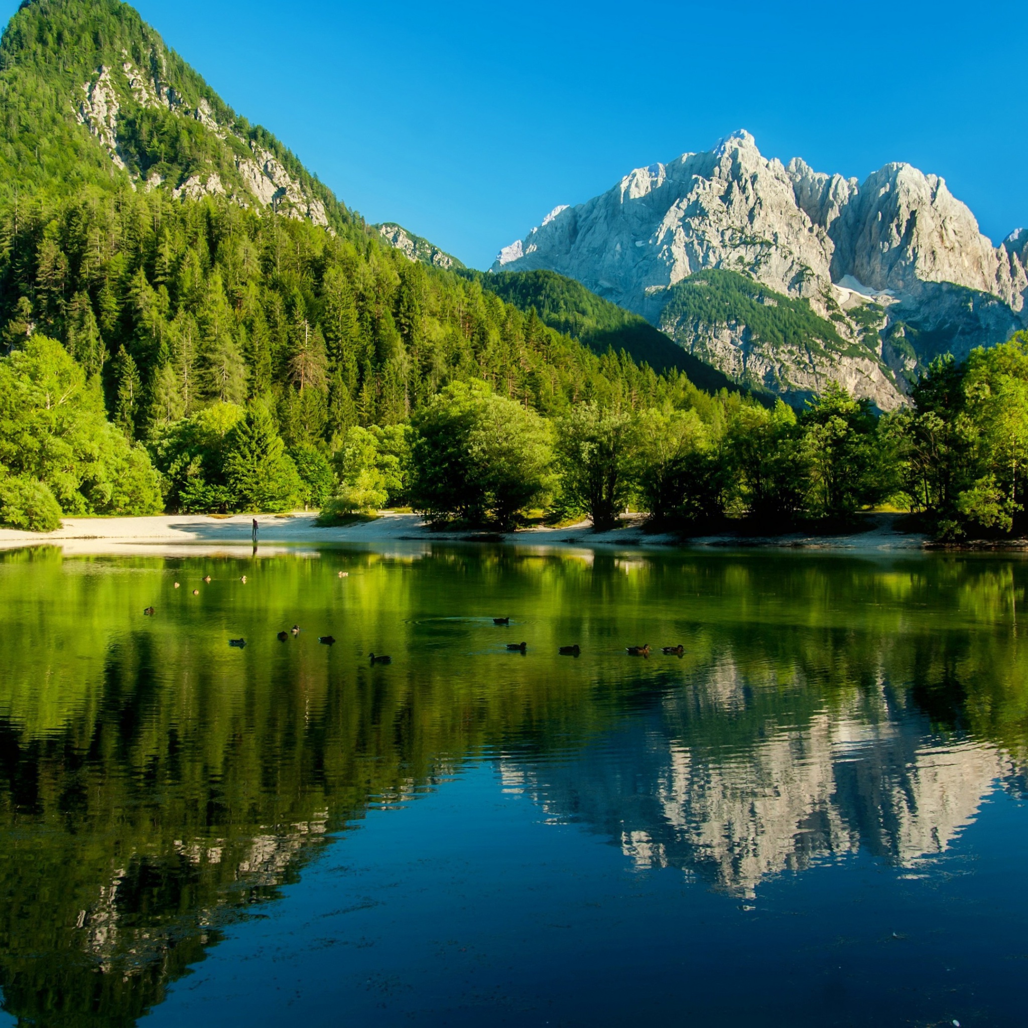 Обои Lake Jasna, Slovenia 2048x2048