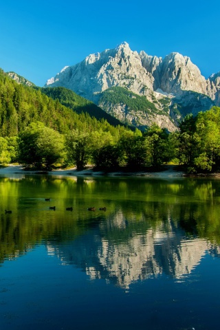 Das Lake Jasna, Slovenia Wallpaper 320x480