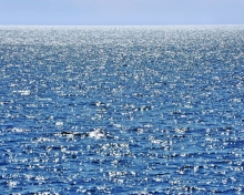 Das Calm Ocean Wallpaper 220x176