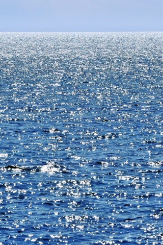 Calm Ocean wallpaper 320x480