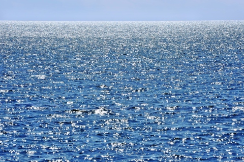 Das Calm Ocean Wallpaper 480x320