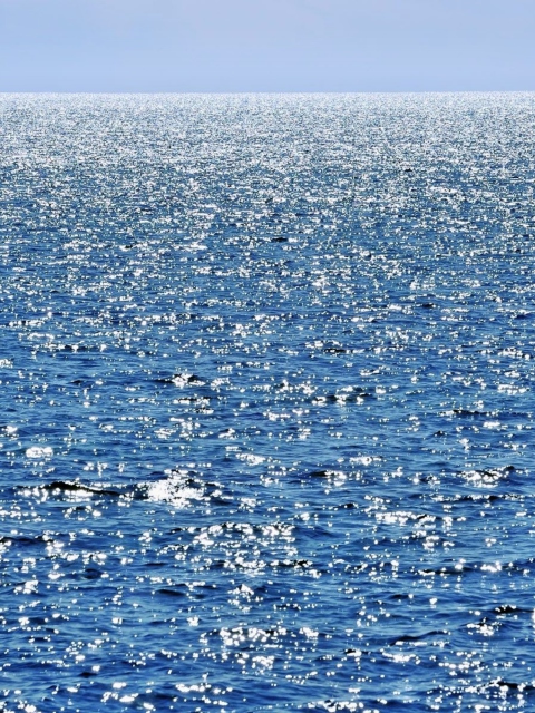 Das Calm Ocean Wallpaper 480x640