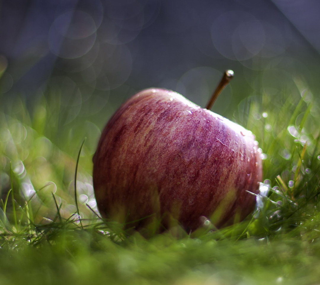 Das Apple In The Grass Wallpaper 1080x960