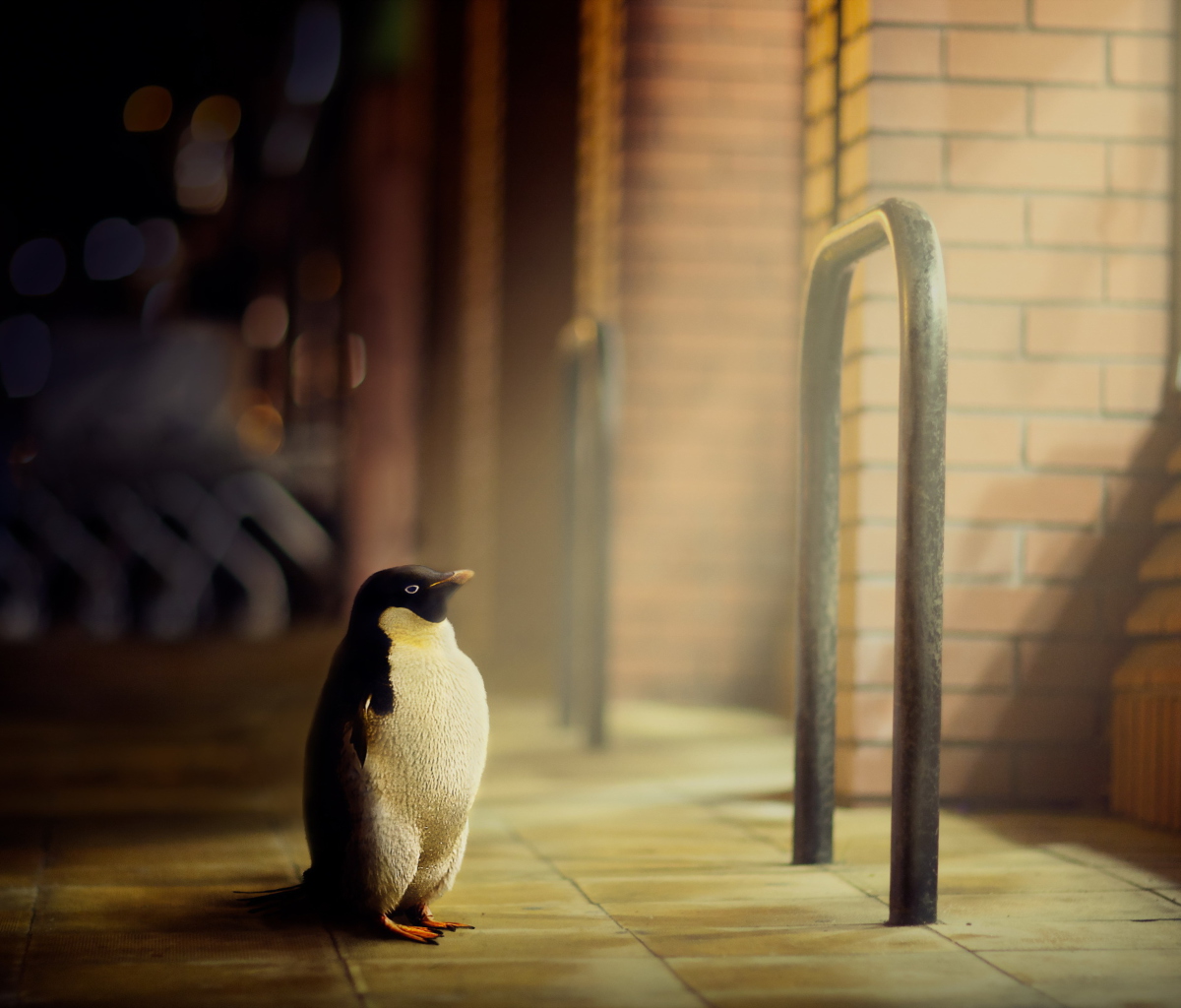 Penguin screenshot #1 1200x1024