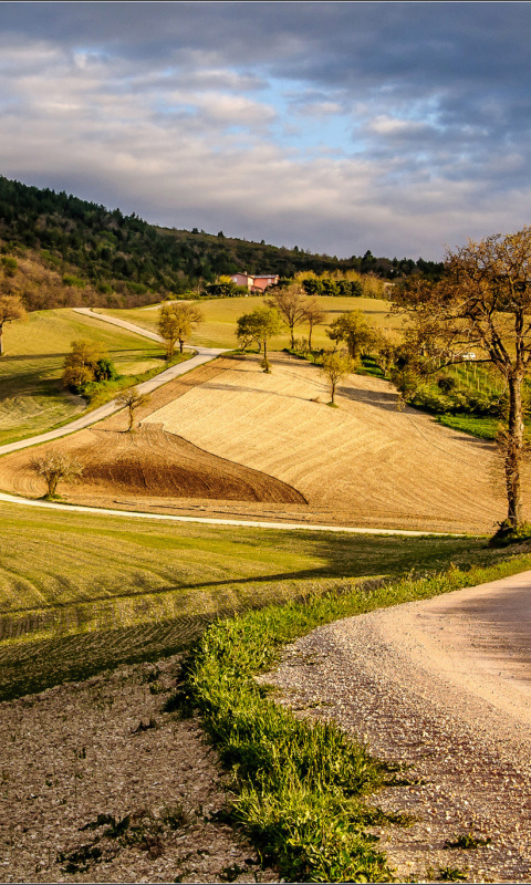 Das Italy, Campania Wallpaper 480x800