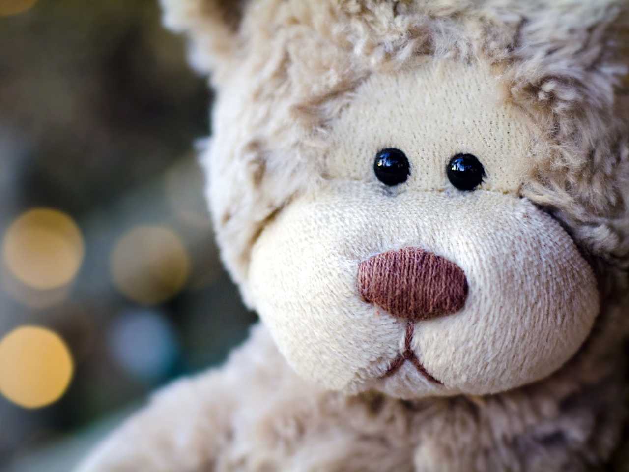 Das Sad Teddy Wallpaper 1280x960