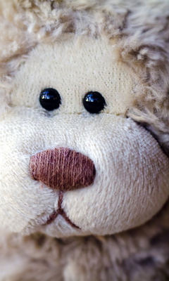 Sad Teddy screenshot #1 240x400