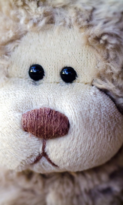 Обои Sad Teddy 240x400