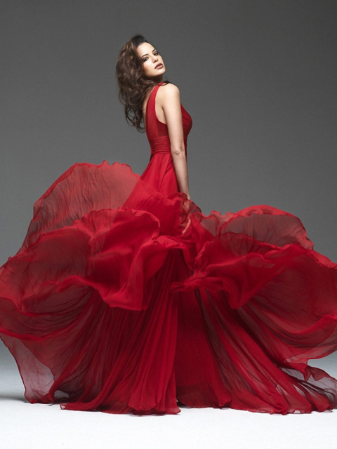 Fondo de pantalla Girl in Beautiful Red Dress 480x640