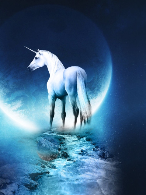 Обои Last Unicorn 480x640