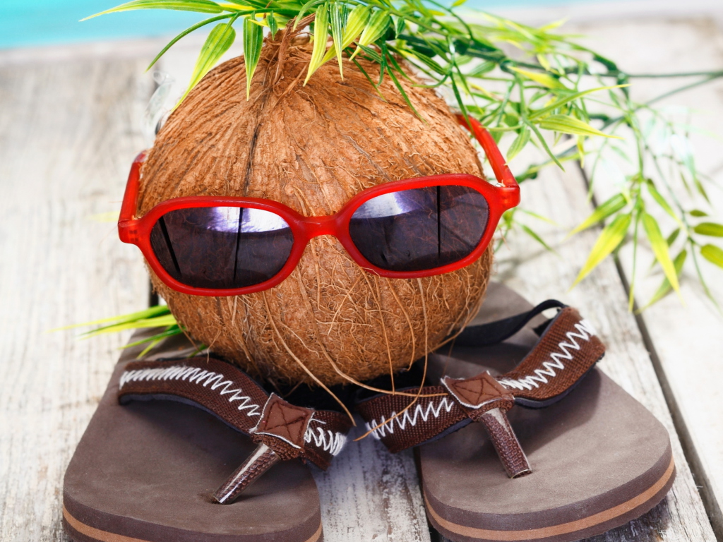 Обои Funny Coconut 1024x768