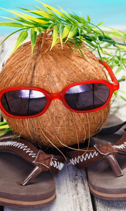 Funny Coconut wallpaper 480x800