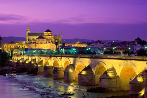 Sfondi Roman Bridge - Guadalquivir River 480x320