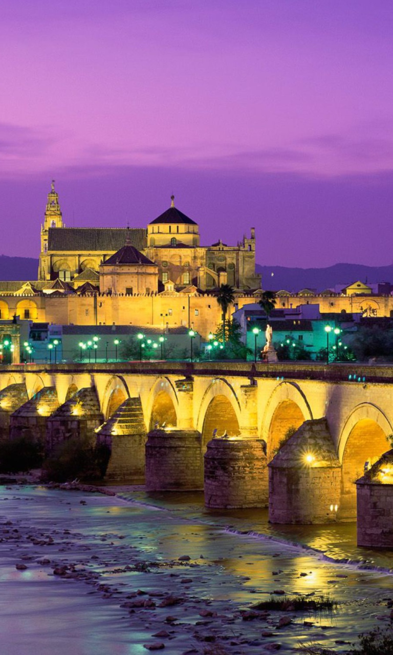 Screenshot №1 pro téma Roman Bridge - Guadalquivir River 768x1280