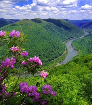 Purple Flowers And Green Hills Background for HTC Titan