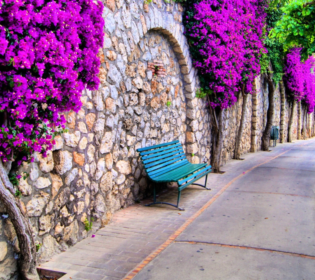 Das Bench And Purple Flowers Wallpaper 1080x960