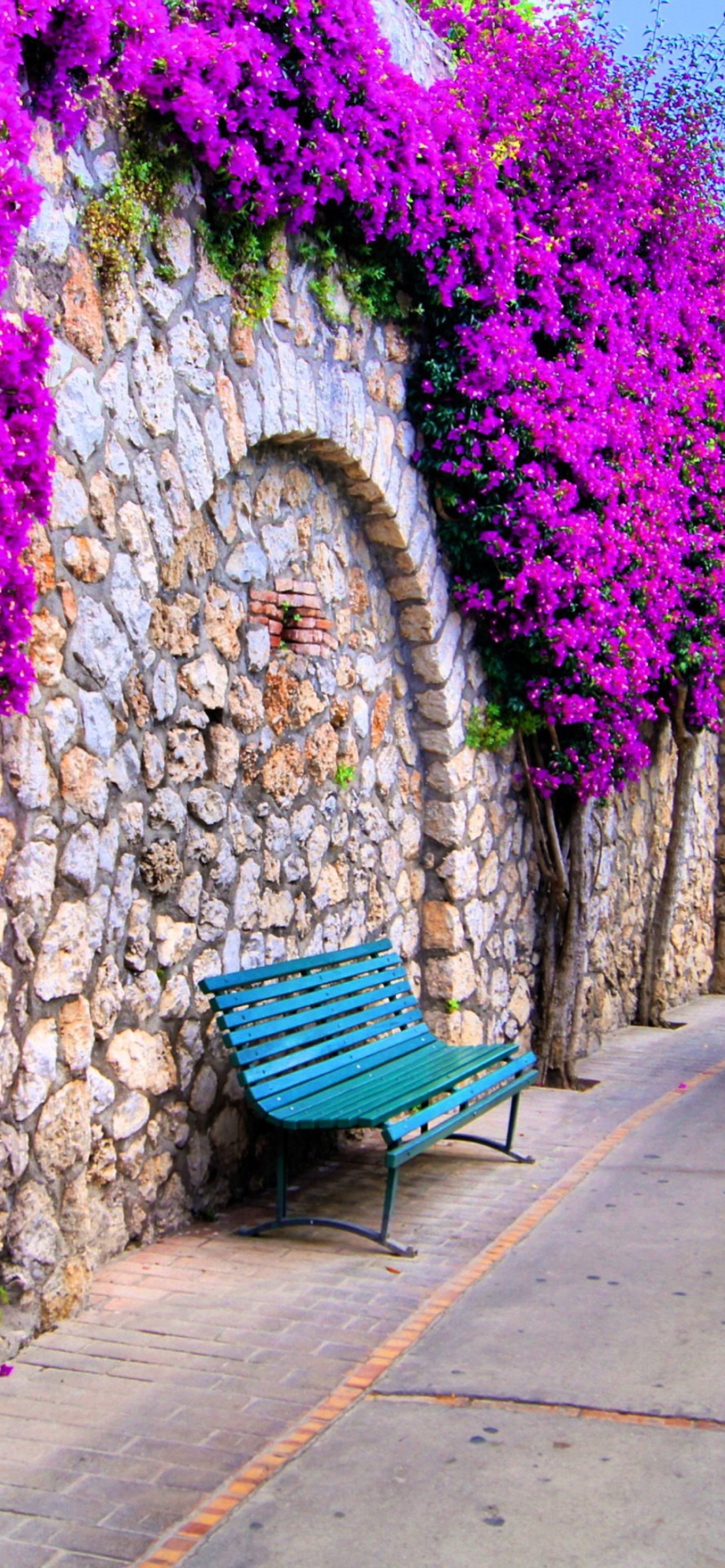 Fondo de pantalla Bench And Purple Flowers 1170x2532