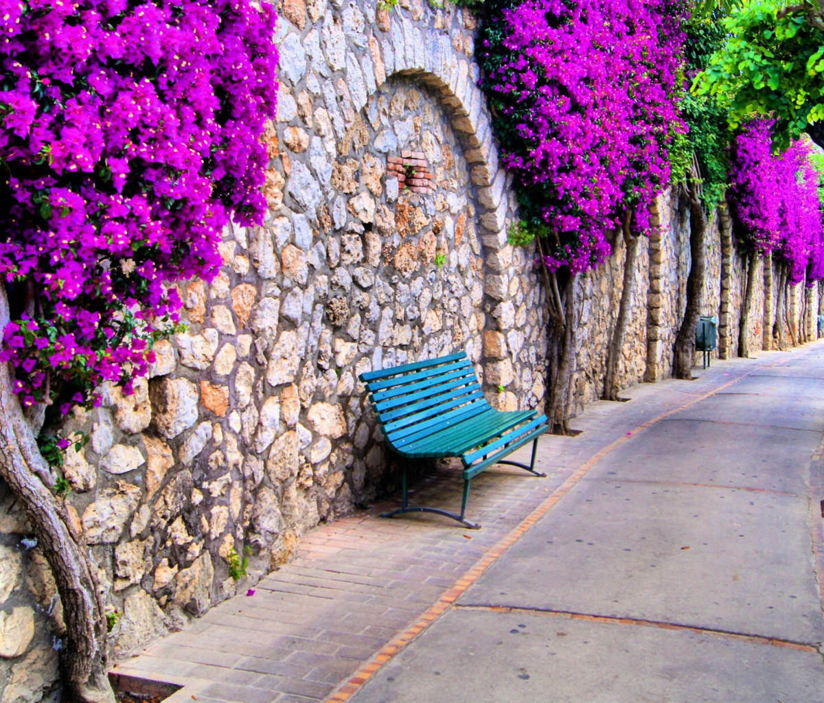 Das Bench And Purple Flowers Wallpaper 1200x1024