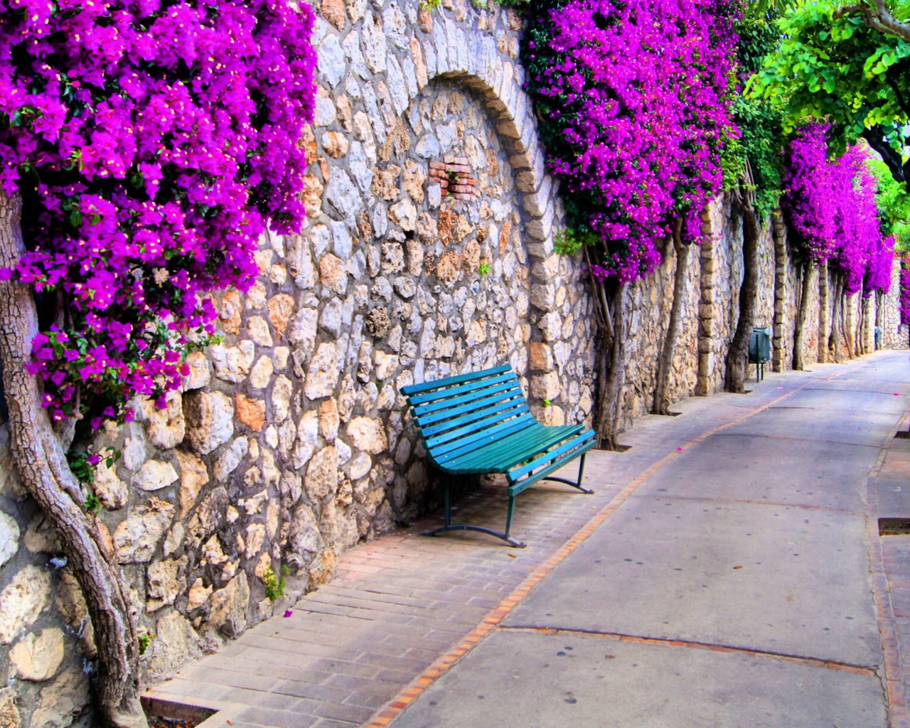 Das Bench And Purple Flowers Wallpaper 1280x1024