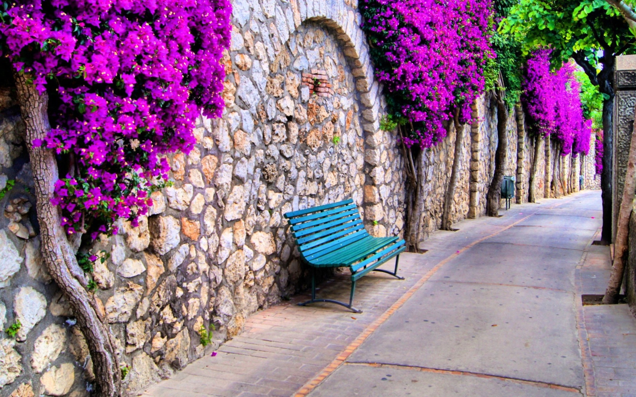 Das Bench And Purple Flowers Wallpaper 1280x800
