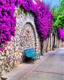 Das Bench And Purple Flowers Wallpaper 128x160