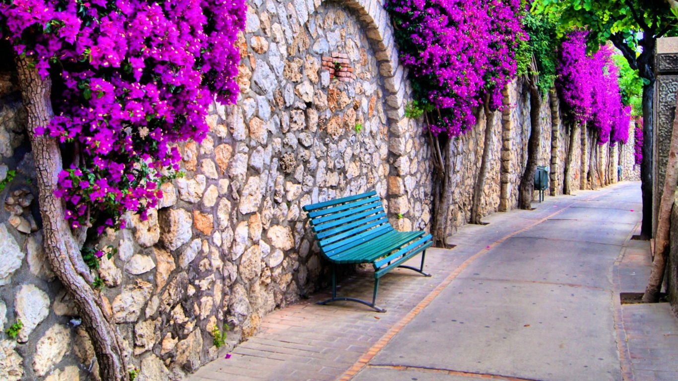 Das Bench And Purple Flowers Wallpaper 1366x768