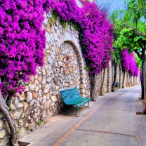 Bench And Purple Flowers wallpaper 208x208