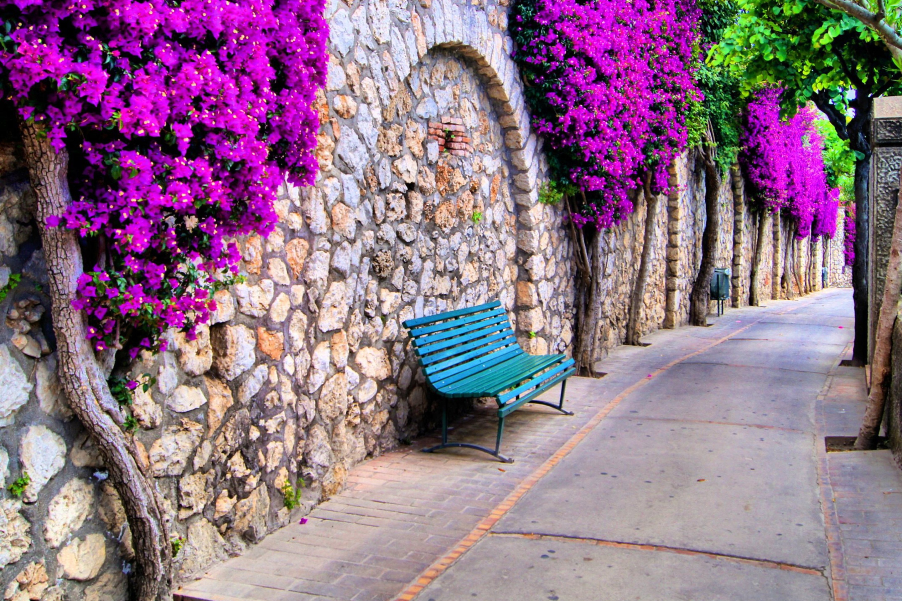 Обои Bench And Purple Flowers 2880x1920