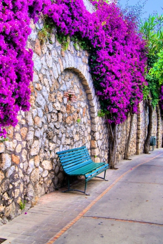 Das Bench And Purple Flowers Wallpaper 320x480