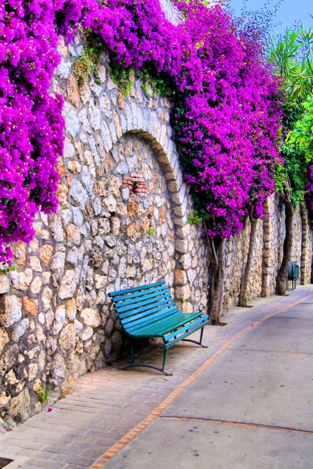 Das Bench And Purple Flowers Wallpaper 640x960