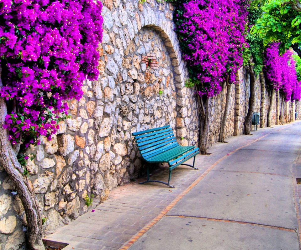 Bench And Purple Flowers wallpaper 960x800