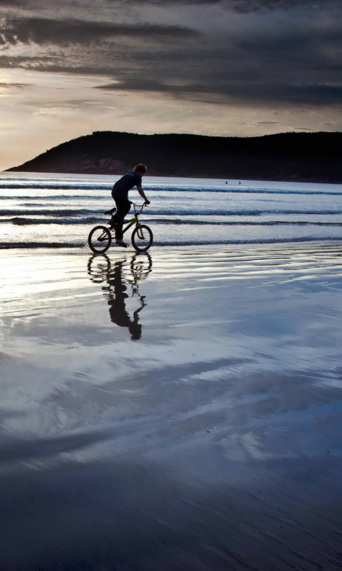 Bicycle Ride By Beach wallpaper 480x800