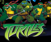 Das Turtles Forever Wallpaper 176x144