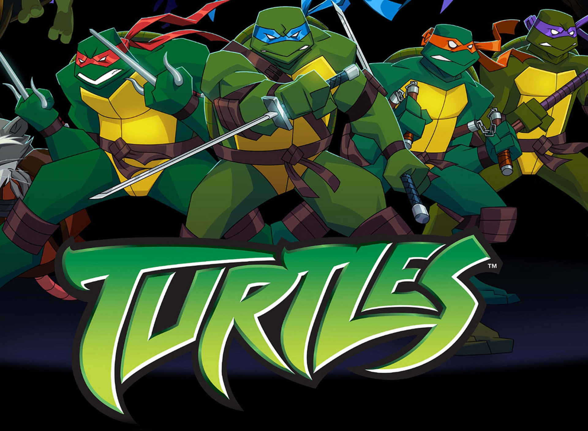 Screenshot №1 pro téma Turtles Forever 1920x1408