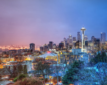 Seattle Panorama Photo wallpaper 220x176