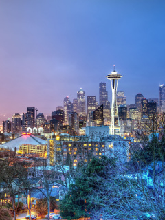 Seattle Panorama Photo wallpaper 240x320