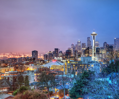 Обои Seattle Panorama Photo 480x400