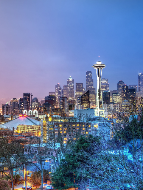 Das Seattle Panorama Photo Wallpaper 480x640