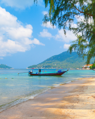 Koh Tao Thailand sfondi gratuiti per Samsung S5230W Star WiFi